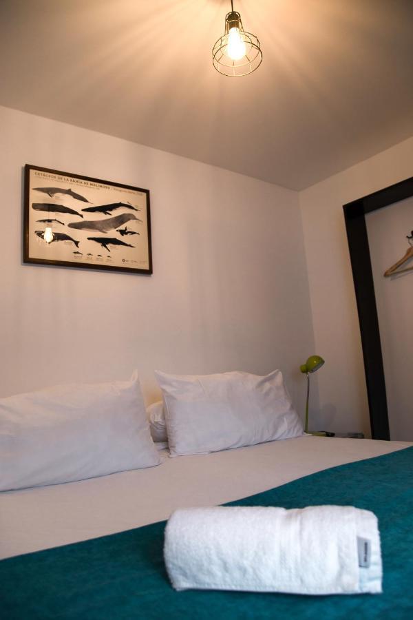 Hostal Boutique Terra Antarctica Punta Arenas Extérieur photo